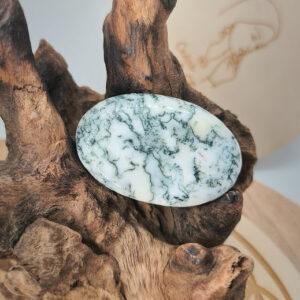 Agate Arbre