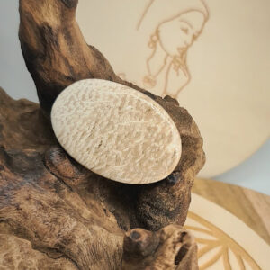 Agate Palm