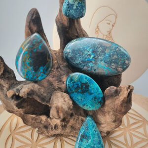 Chrysocolle