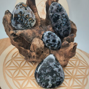 Gabbro