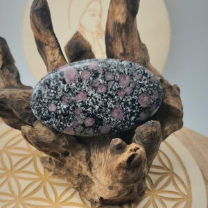 Grenat sur Gabbro
