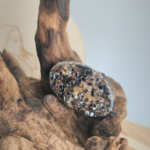 Palmier Fossile