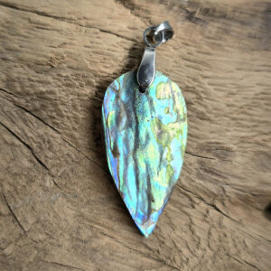 Abalone