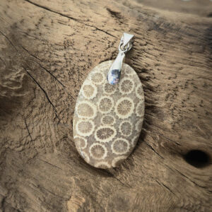 Corail Fossile