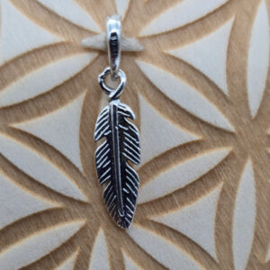 Plume