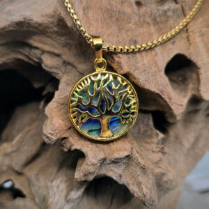 Abalone